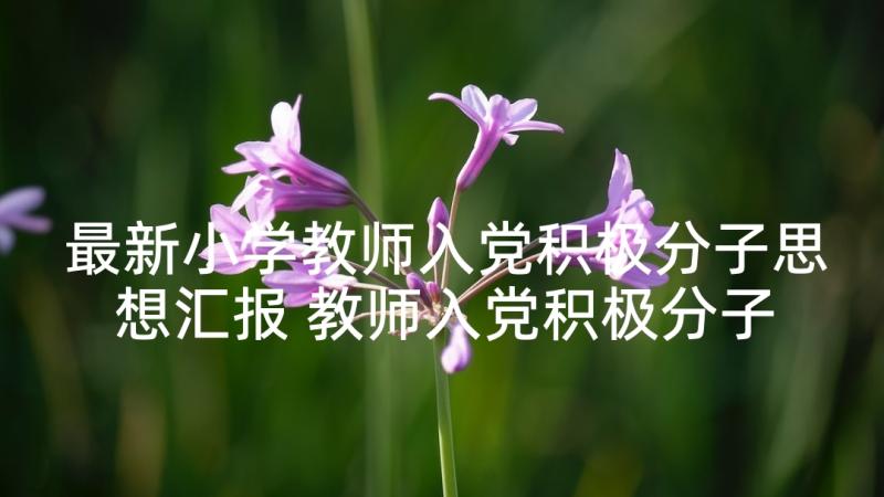 最新小学教师入党积极分子思想汇报 教师入党积极分子思想汇报(精选6篇)