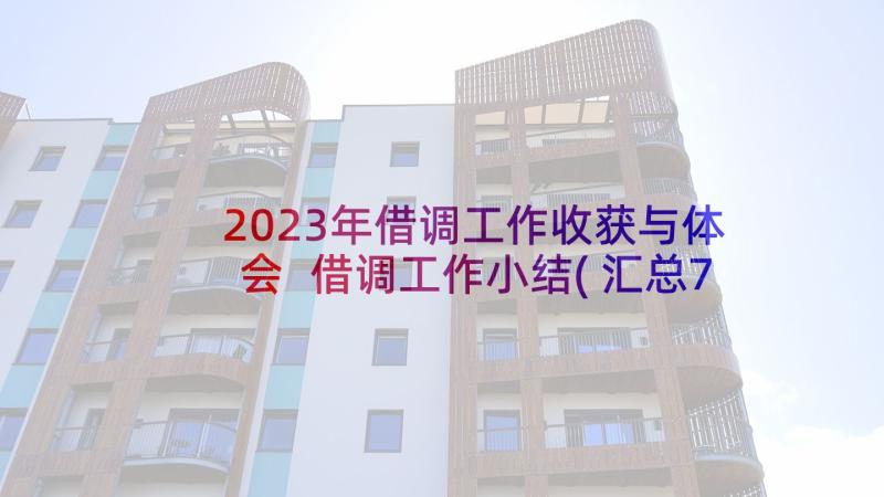 2023年借调工作收获与体会 借调工作小结(汇总7篇)