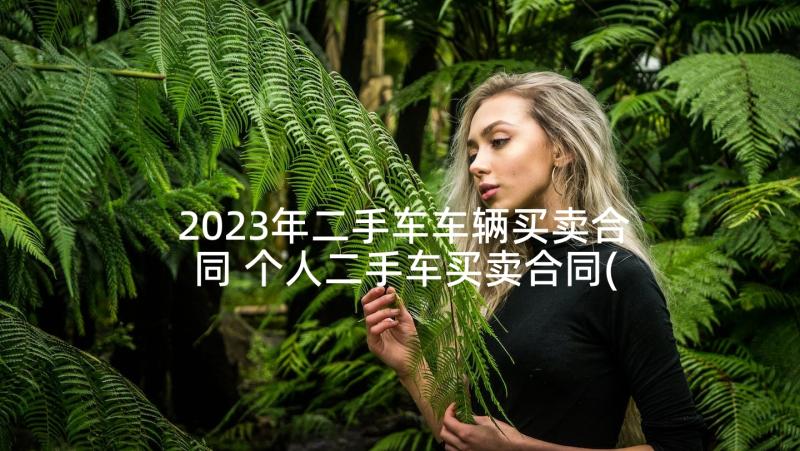 2023年二手车车辆买卖合同 个人二手车买卖合同(优秀6篇)