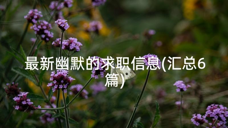 最新幽默的求职信息(汇总6篇)