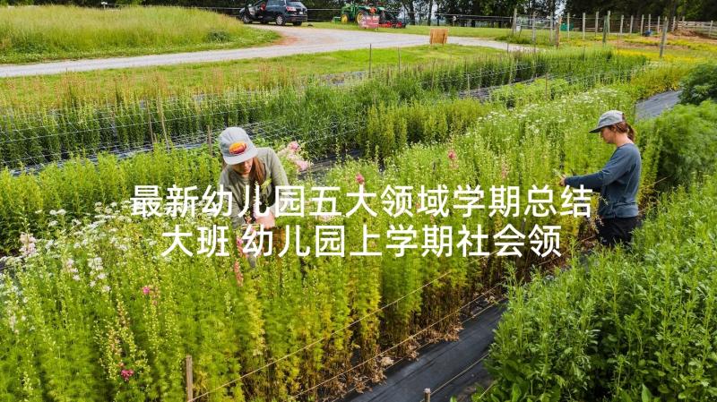 最新幼儿园五大领域学期总结大班 幼儿园上学期社会领域教学总结(大全5篇)