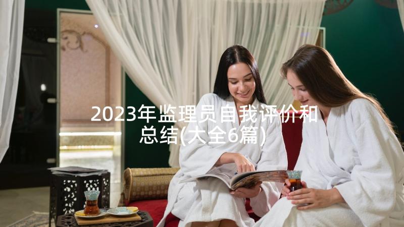 2023年监理员自我评价和总结(大全6篇)