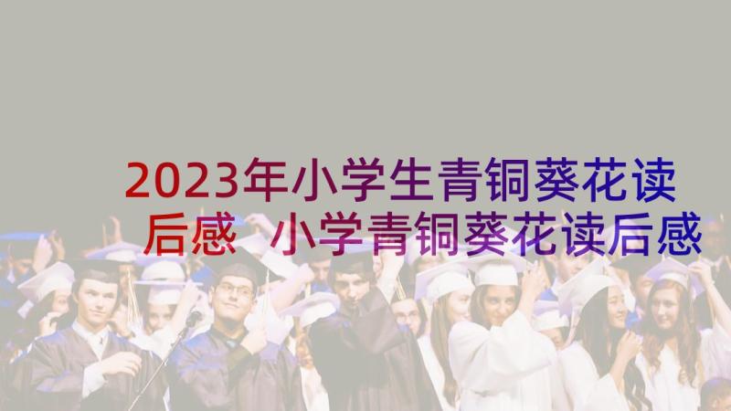 2023年小学生青铜葵花读后感 小学青铜葵花读后感(优质5篇)