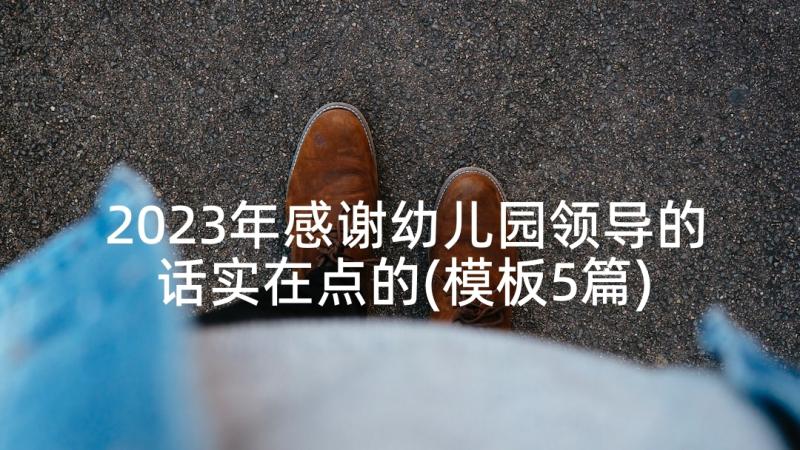 2023年感谢幼儿园领导的话实在点的(模板5篇)