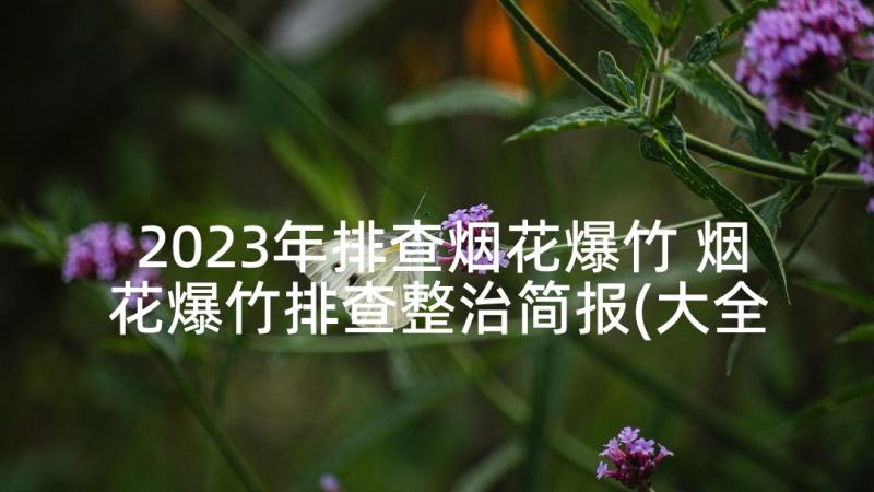 2023年排查烟花爆竹 烟花爆竹排查整治简报(大全5篇)