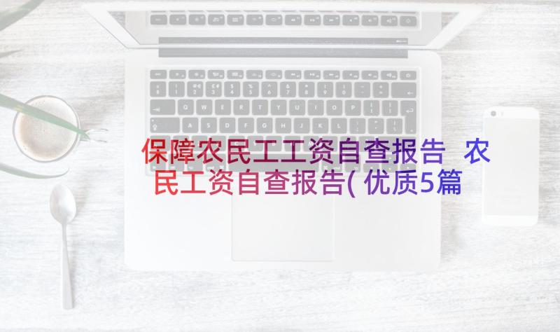 保障农民工工资自查报告 农民工资自查报告(优质5篇)