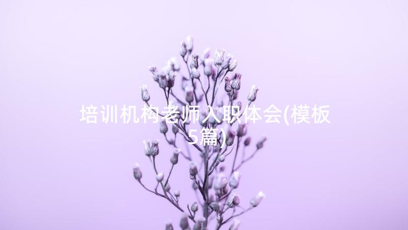 培训机构老师入职体会(模板5篇)