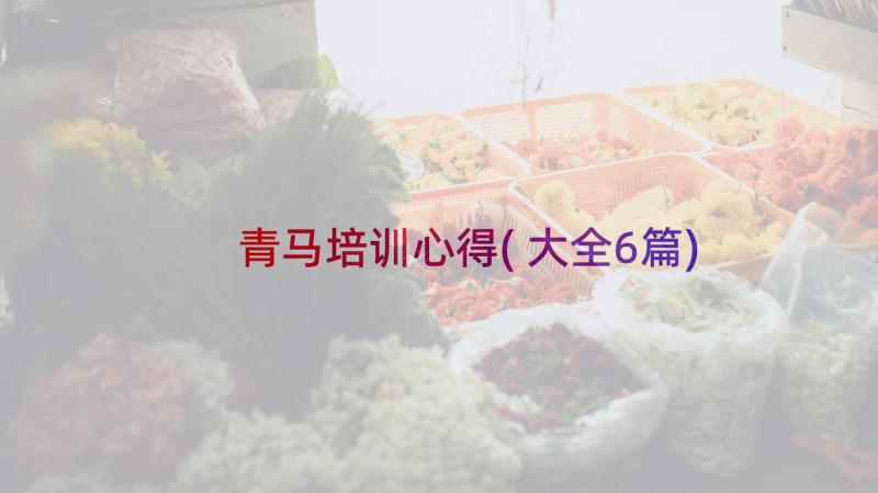 青马培训心得(大全6篇)