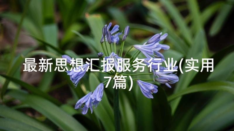 最新思想汇报服务行业(实用7篇)