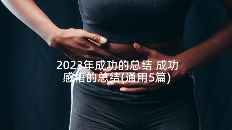 2023年成功的总结 成功感悟的总结(通用5篇)