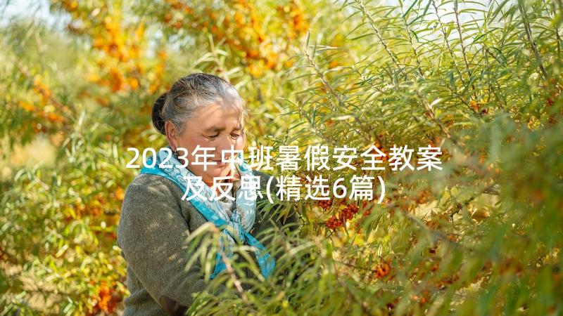 2023年中班暑假安全教案及反思(精选6篇)