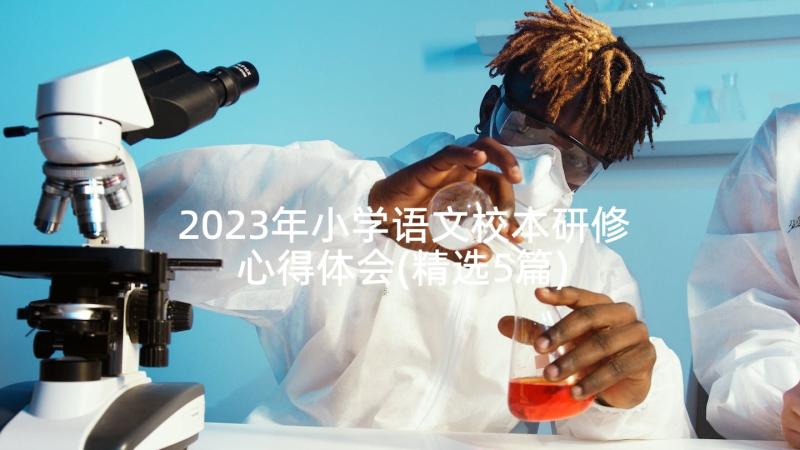 2023年小学语文校本研修心得体会(精选5篇)