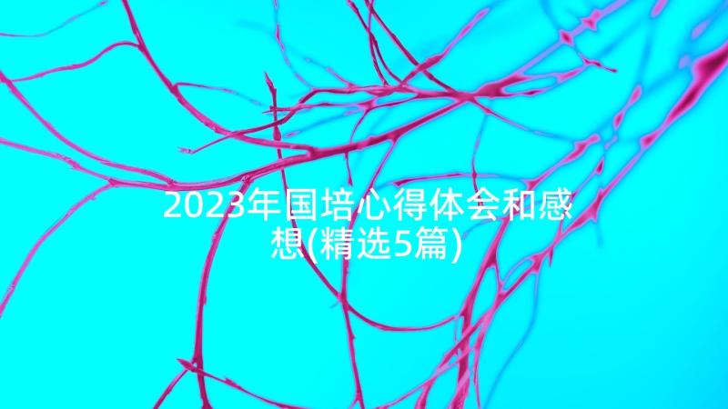 2023年国培心得体会和感想(精选5篇)