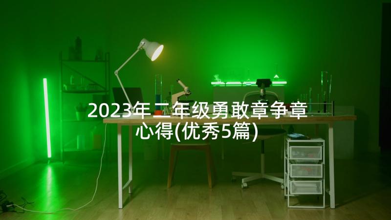 2023年二年级勇敢章争章心得(优秀5篇)