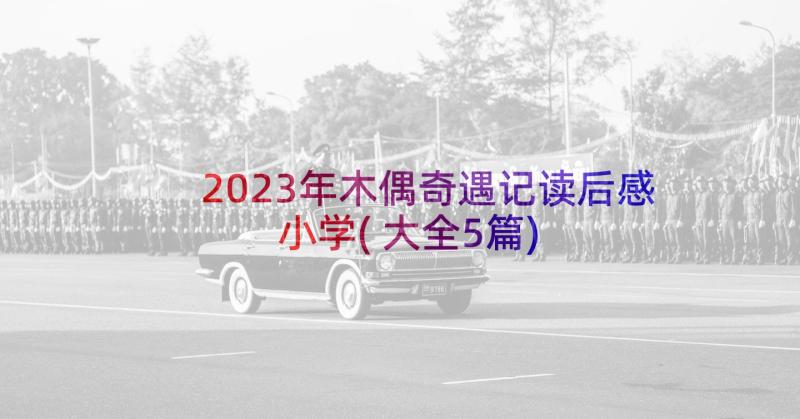 2023年木偶奇遇记读后感小学(大全5篇)