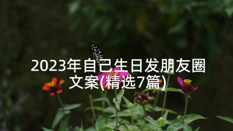 2023年自己生日发朋友圈文案(精选7篇)