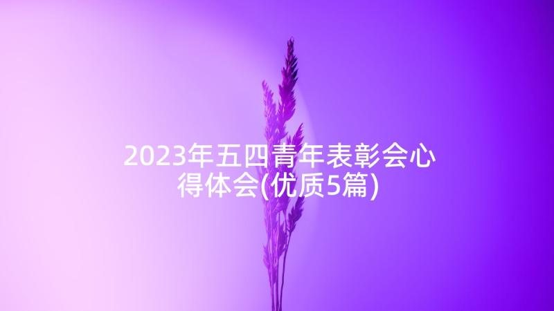 2023年五四青年表彰会心得体会(优质5篇)