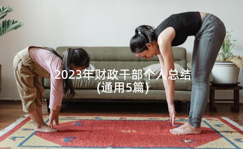 2023年财政干部个人总结(通用5篇)