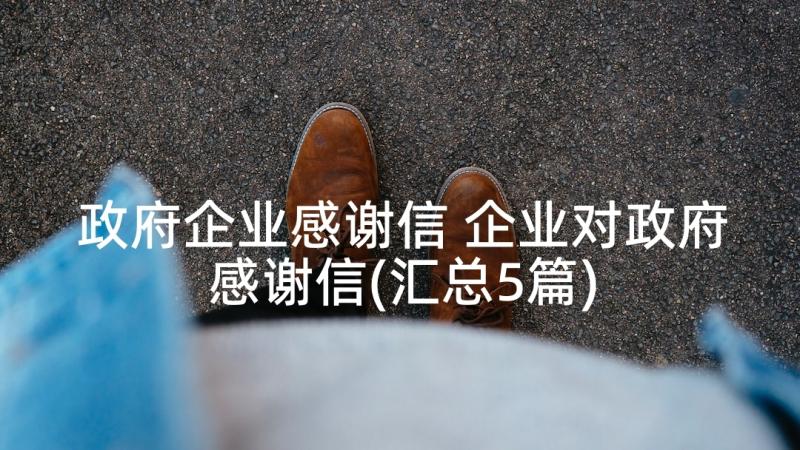 政府企业感谢信 企业对政府感谢信(汇总5篇)