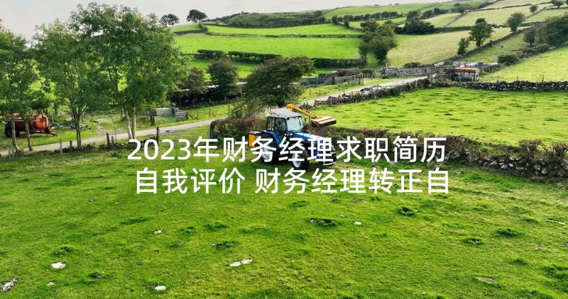 2023年财务经理求职简历自我评价 财务经理转正自我评价的(精选7篇)