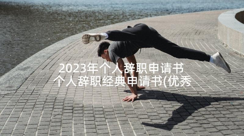 2023年个人辞职申请书 个人辞职经典申请书(优秀5篇)