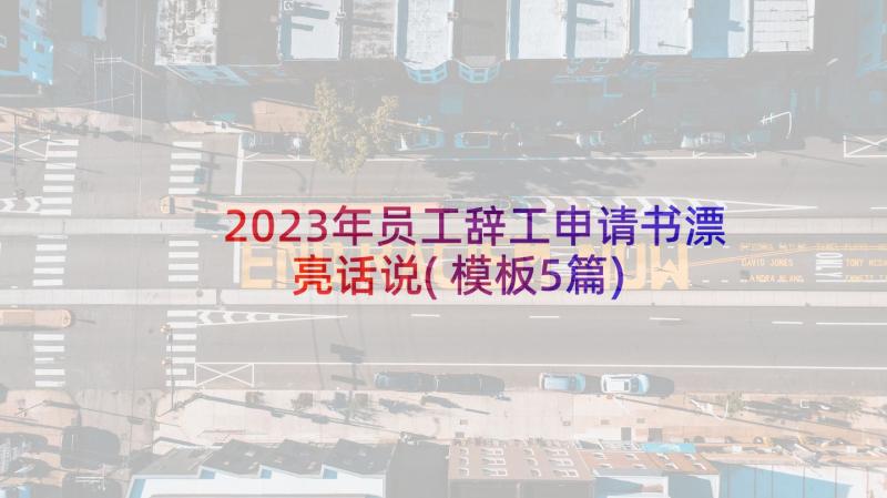 2023年员工辞工申请书漂亮话说(模板5篇)