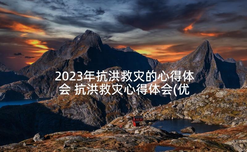 2023年抗洪救灾的心得体会 抗洪救灾心得体会(优质5篇)