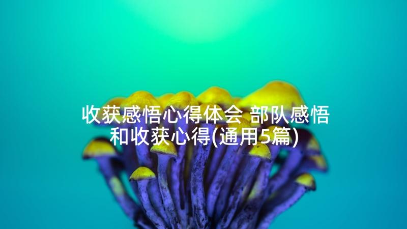 收获感悟心得体会 部队感悟和收获心得(通用5篇)