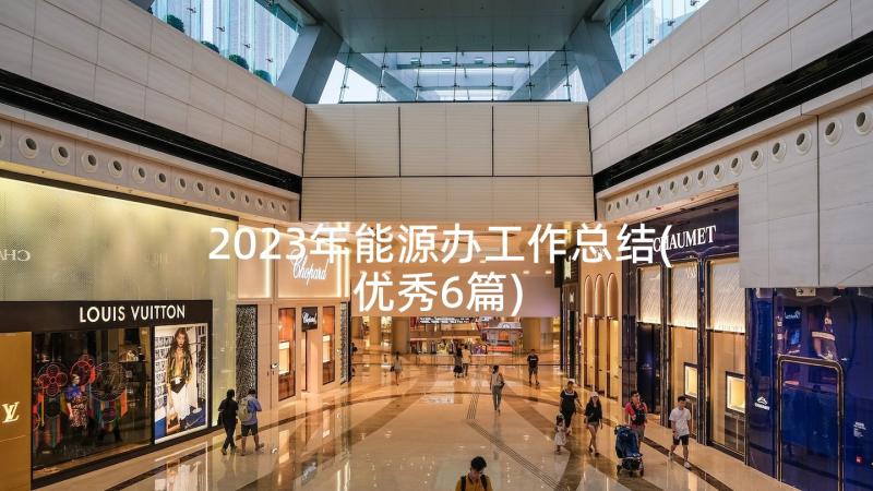 2023年能源办工作总结(优秀6篇)