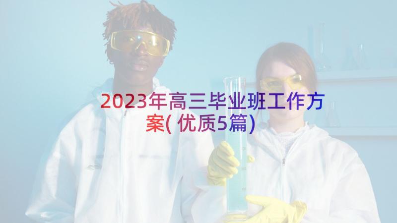 2023年高三毕业班工作方案(优质5篇)