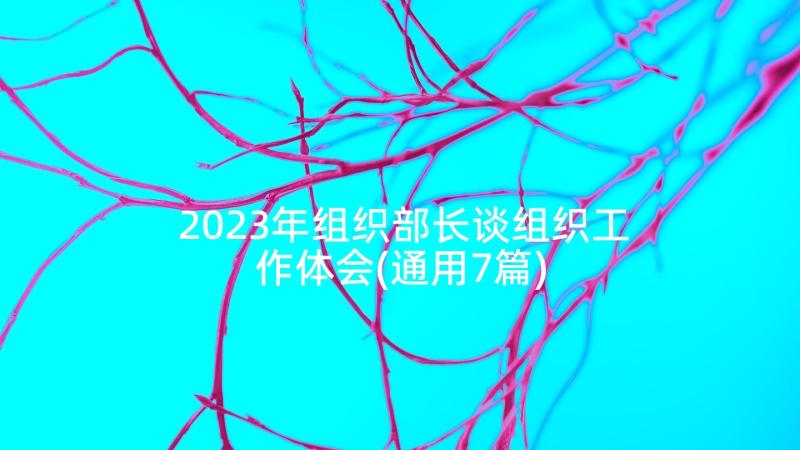 2023年组织部长谈组织工作体会(通用7篇)