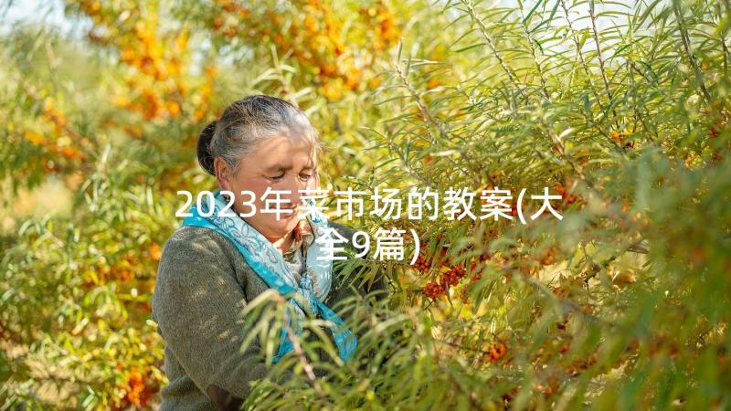 2023年菜市场的教案(大全9篇)