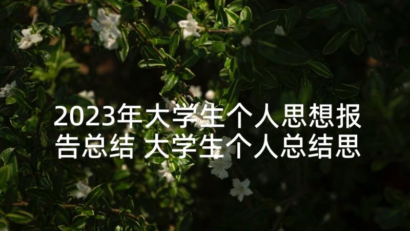 2023年大学生个人思想报告总结 大学生个人总结思想(大全10篇)