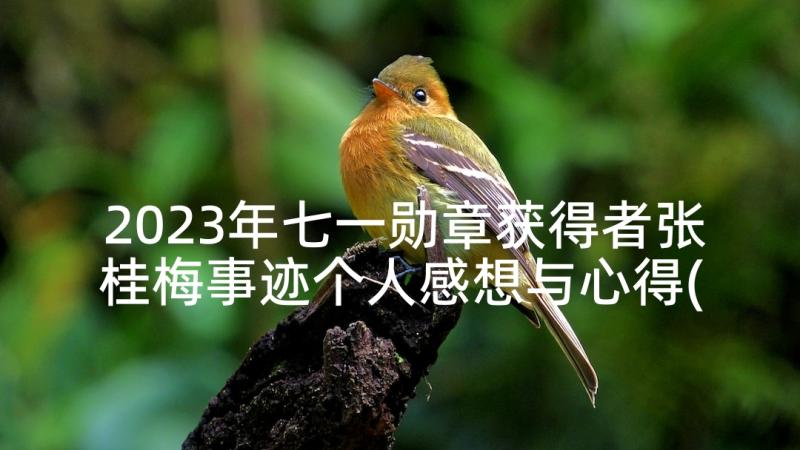 2023年七一勋章获得者张桂梅事迹个人感想与心得(精选5篇)