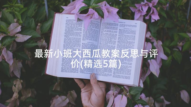 最新小班大西瓜教案反思与评价(精选5篇)