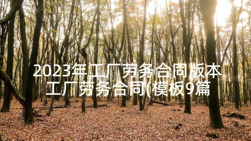 2023年工厂劳务合同版本 工厂劳务合同(模板9篇)