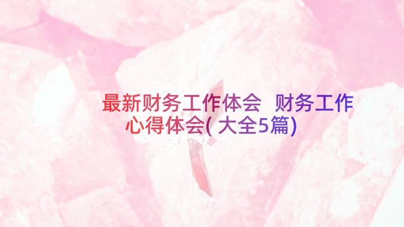 最新财务工作体会 财务工作心得体会(大全5篇)