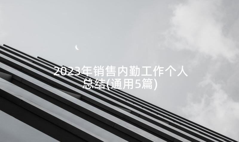 2023年销售内勤工作个人总结(通用5篇)