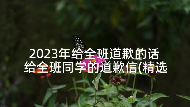 2023年给全班道歉的话 给全班同学的道歉信(精选8篇)