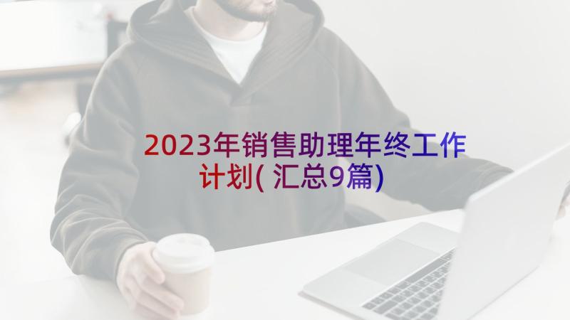 2023年销售助理年终工作计划(汇总9篇)