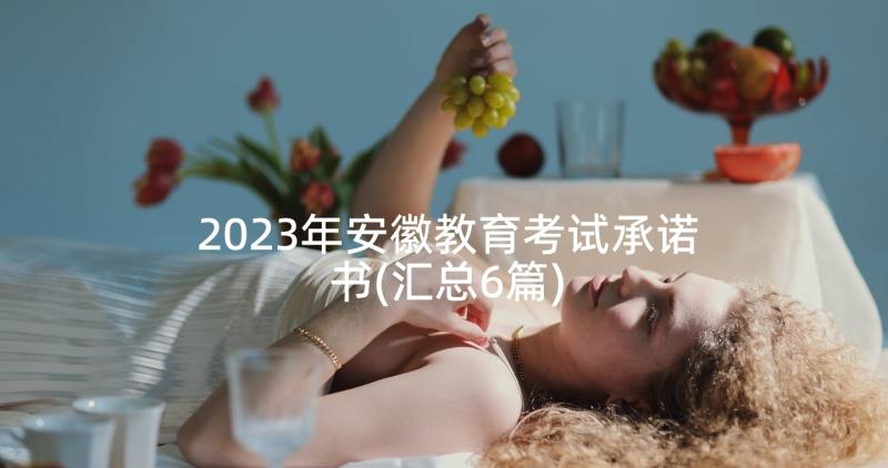 2023年安徽教育考试承诺书(汇总6篇)