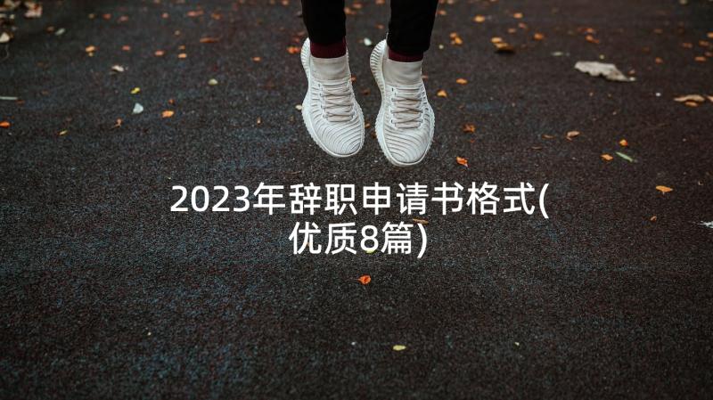 2023年辞职申请书格式(优质8篇)