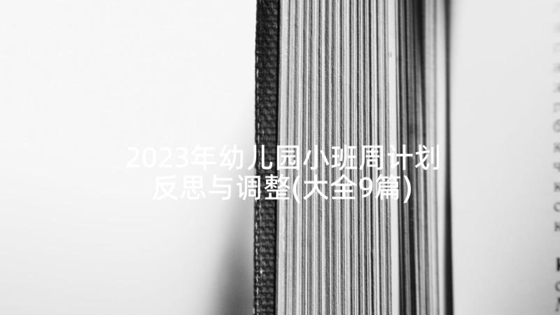 2023年幼儿园小班周计划反思与调整(大全9篇)