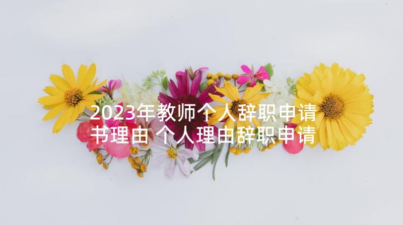 2023年教师个人辞职申请书理由 个人理由辞职申请书(大全9篇)