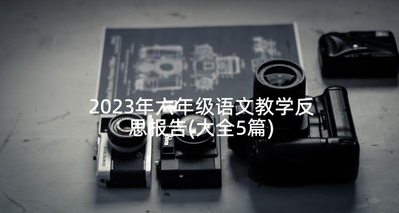 2023年六年级语文教学反思报告(大全5篇)