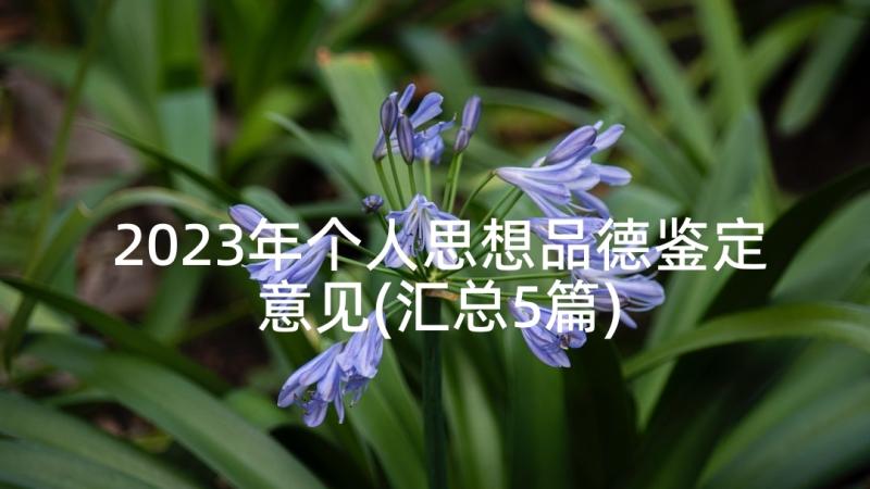 2023年个人思想品德鉴定意见(汇总5篇)