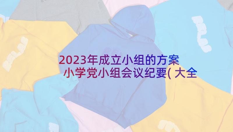 2023年成立小组的方案 小学党小组会议纪要(大全5篇)