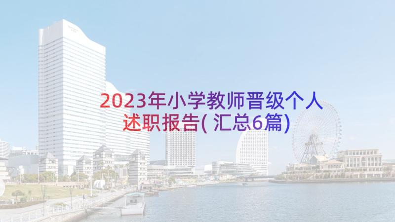 2023年小学教师晋级个人述职报告(汇总6篇)