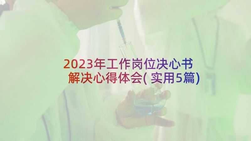 2023年工作岗位决心书 解决心得体会(实用5篇)