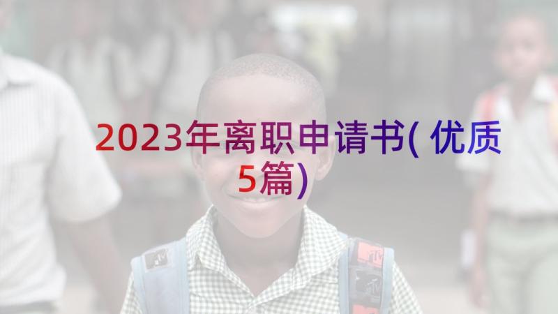 2023年离职申请书(优质5篇)